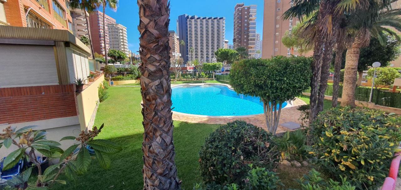 Adelfas - Fincas Arena Benidorm Ngoại thất bức ảnh